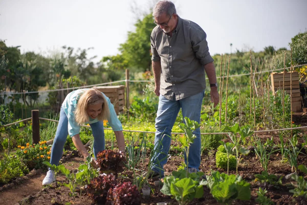 Huerto casero para principiantes con lechuga, rábanos, espinaca, cebollín y jitomates cherry cultivados en macetas y jardineras.