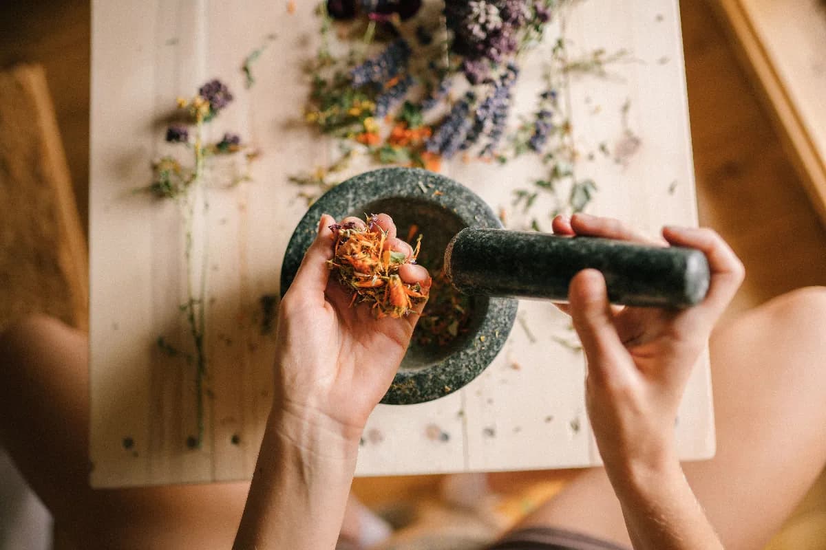 Plantas y hierbas usadas en belleza natural sobre una mesa de madera: aloe vera, caléndula, manzanilla, lavanda, romero y pétalos frescos junto a frascos de aceite y crema.
