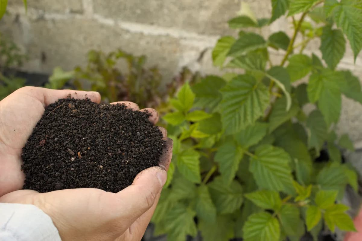 Recipiente de composta casera en un balcón o cocina con restos de frutas, hojas secas y material marrón, mostrando cómo hacer compost en casa paso a paso.