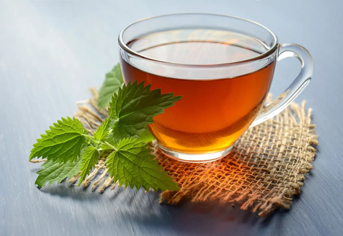 Taza de infusión de hierbabuena con hojas frescas de menta sobre una mesa de madera